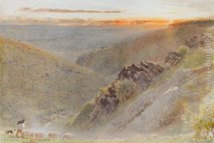Dartmoor, Gorge of The Teign